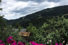 aussicht
