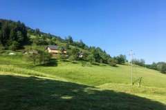 bauernhof-linder-weide