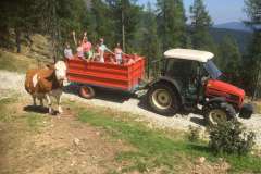 gasthoflinder-arriach-IMG_8158