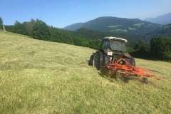 gasthoflinder-arriach-KSHX5564