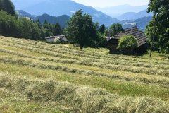 linder-hof-wiese-aussicht