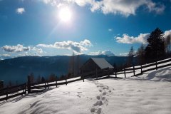 linder-winter