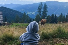 wiese-alm-linder